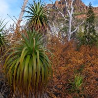 A Prehistoric Environment